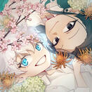 seasons